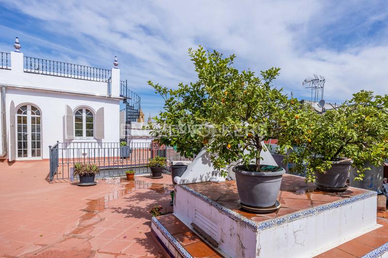 Foto b18f4a81-b411-4bac-ae7d-a966dfb4d097. Casa con riscaldamento parcheggio piscina in Alfalfa - Santa Cruz Sevilla