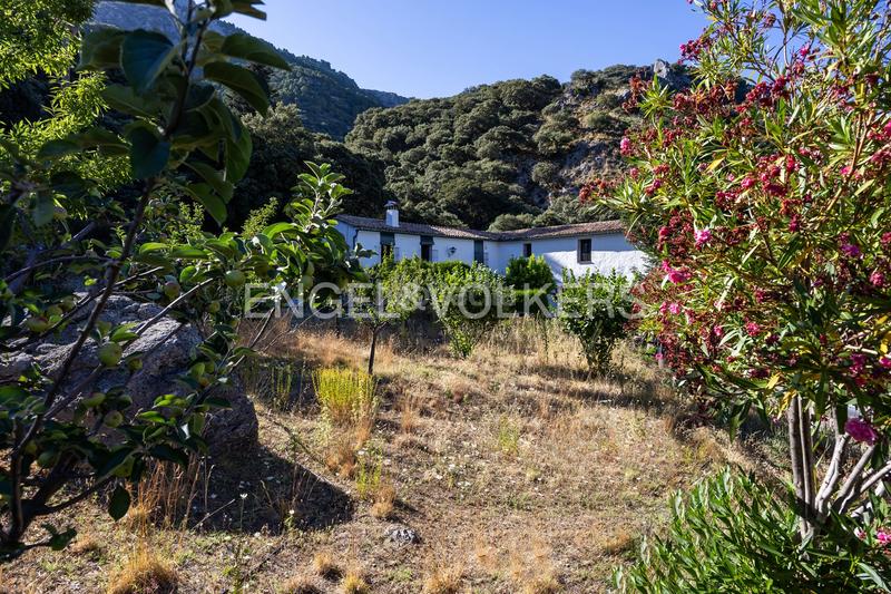 Foto 2a1a0800-1eb6-400b-8fec-faecfc81a092. Masía finca en andalucia de 25 hectáreas en pleno parque natural ,cádiz en Grazalema
