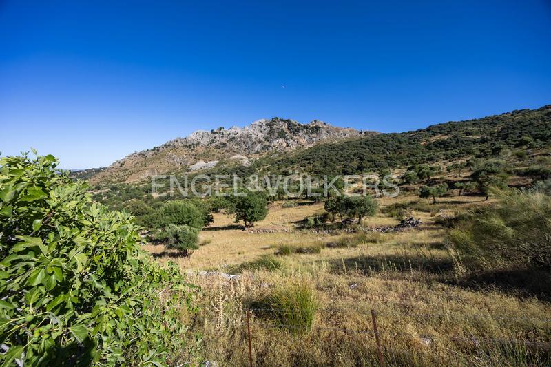 Foto 420f77ec-c611-41fc-940c-347901b9aa85. Masía finca en andalucia de 25 hectáreas en pleno parque natural ,cádiz en Grazalema