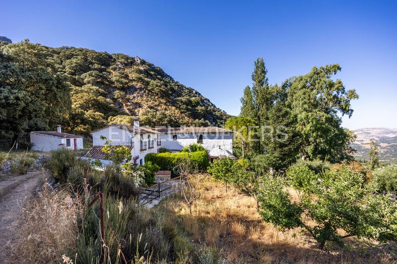 Foto 441eea75-84a2-48b0-be76-307c500cff42. Masía finca en andalucia de 25 hectáreas en pleno parque natural ,cádiz en Grazalema