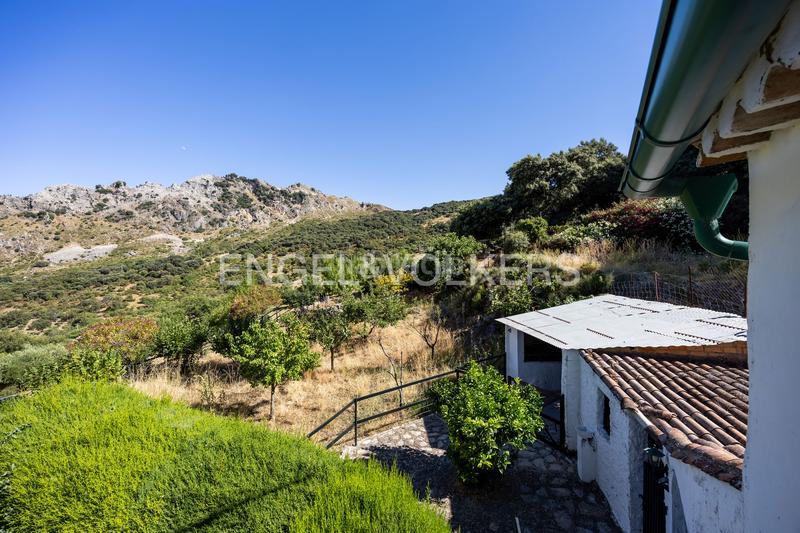 Foto 5a486472-a36c-4d01-bf67-eadf30bd6709. Masía finca en andalucia de 25 hectáreas en pleno parque natural ,cádiz en Grazalema