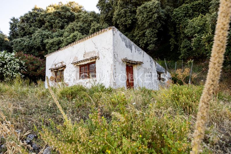 Foto 853e65da-74cc-4a05-a615-f02f68195951. Masía finca en andalucia de 25 hectáreas en pleno parque natural ,cádiz en Grazalema
