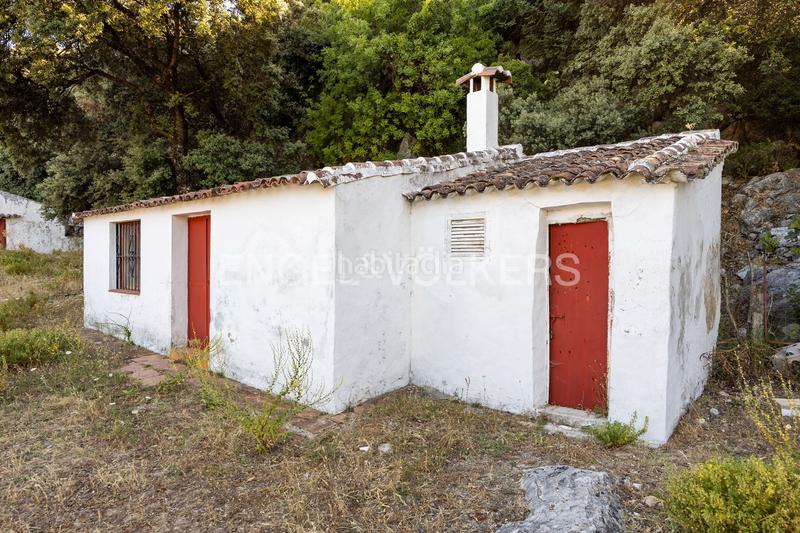 Foto a963a05f-529f-4704-b881-aa1ce4dfc49d. Masía finca en andalucia de 25 hectáreas en pleno parque natural ,cádiz en Grazalema