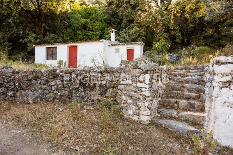 Foto de92ddbf-42fc-4393-ba7c-ea91f06e4466. Masía finca en andalucia de 25 hectáreas en pleno parque natural ,cádiz en Grazalema