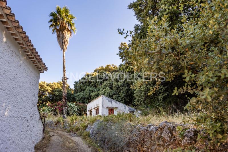 Foto ef4601d9-6e90-4606-a3fb-706e24153a18. Masía finca en andalucia de 25 hectáreas en pleno parque natural ,cádiz en Grazalema