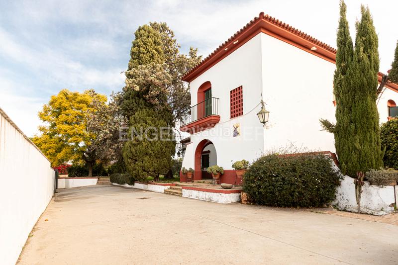 Foto 1dafd690-7663-4be3-8f03-9403e67b9538. Masía embrujo andaluz en cortijo de más de 3.000 metros dentro de núcleo urbano en Gines