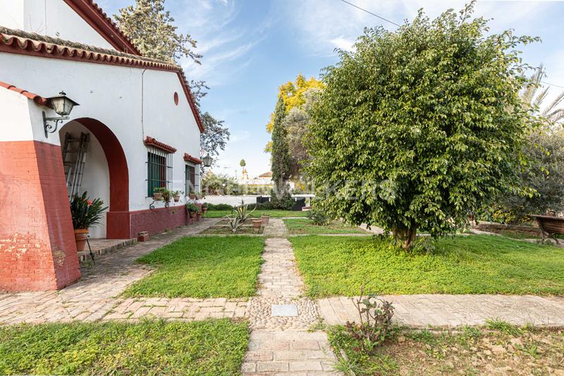 Foto 20d5e997-1472-413f-ad6d-dd0528ce07fc. Masía embrujo andaluz en cortijo de más de 3.000 metros dentro de núcleo urbano en Gines