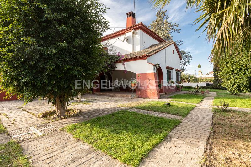Foto 41a8bf0c-6b52-4d53-8e01-5f519771de74. Masía embrujo andaluz en cortijo de más de 3.000 metros dentro de núcleo urbano en Gines