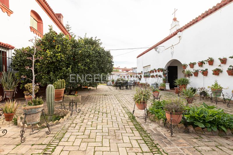 Foto 76ca271a-7a3c-4f5b-86de-c5812af861fb. Masía embrujo andaluz en cortijo de más de 3.000 metros dentro de núcleo urbano en Gines