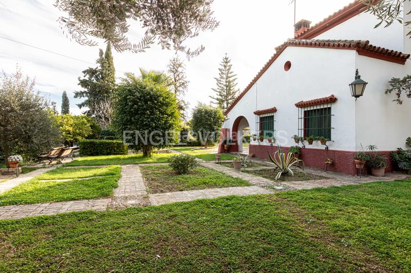Foto ab707fe1-5571-4346-8512-e19e6c135468. Masía embrujo andaluz en cortijo de más de 3.000 metros dentro de núcleo urbano en Gines