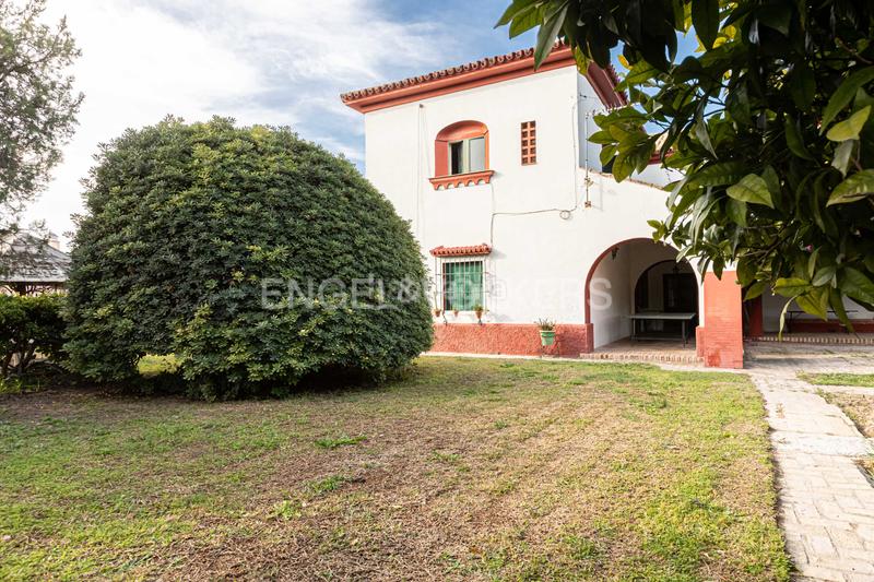 Foto b6affb28-b1d4-4119-98b8-d8ebadd90561. Masía embrujo andaluz en cortijo de más de 3.000 metros dentro de núcleo urbano en Gines