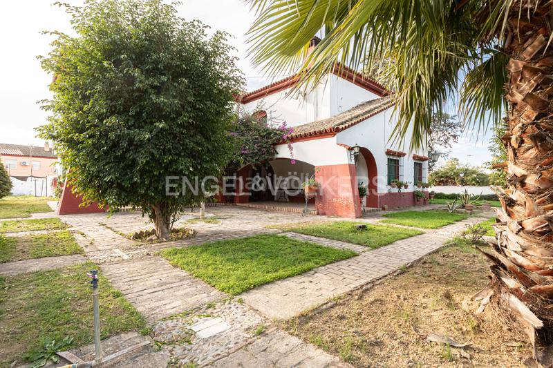 Foto dfb26c74-b26c-43cc-8326-30760029af6d. Masía embrujo andaluz en cortijo de más de 3.000 metros dentro de núcleo urbano en Gines