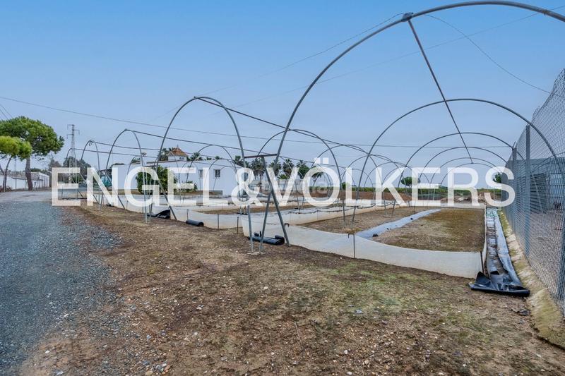 Foto 1d19066b-3643-4b55-b610-dda061588d85. Terreny residencial a Lora del Río