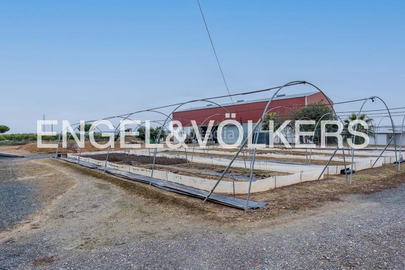 Foto 699a447d-dea0-4170-a3d9-c02f8d410739. Terreny residencial a Lora del Río