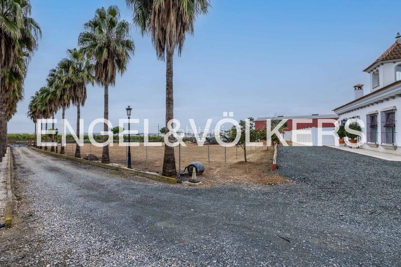 Foto cc25d5f1-7da7-4389-9152-476cf2020bfa. Terreny residencial a Lora del Río