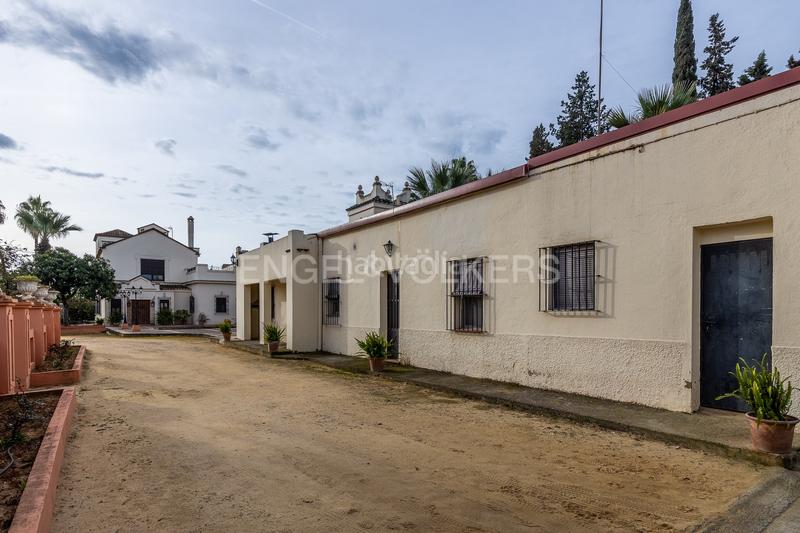 Foto 9184b96b-3310-4894-a425-958239f7d048. Mas avec chauffage piscine dans Olivares
