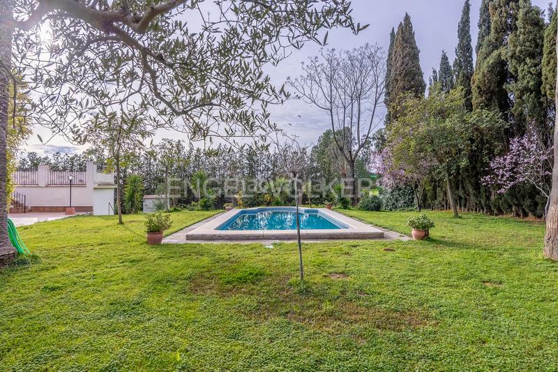 Foto a98a32e9-9236-4a3f-afc2-92adb40ba5b4. Mas avec chauffage piscine dans Olivares