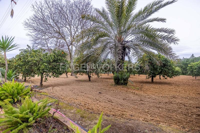 Foto afd5f64c-7636-46ec-90fe-2a94dc54d7c1. Mas avec chauffage piscine dans Olivares