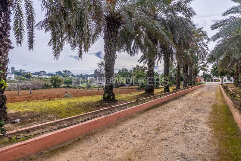 Foto dac92dd5-7adc-4a7b-8a3e-2309bed626cb. Mas avec chauffage piscine dans Olivares