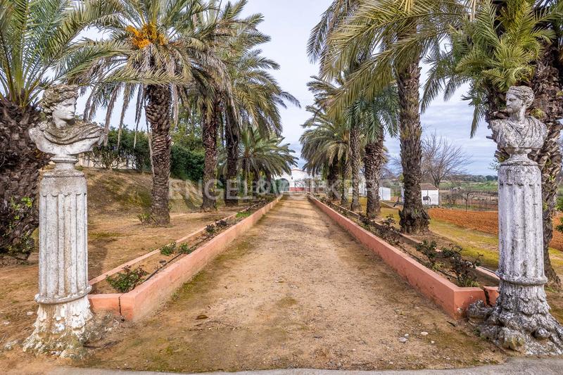 Foto edb64e94-928f-4f7b-aadb-0fa03eee2462. Mas avec chauffage piscine dans Olivares