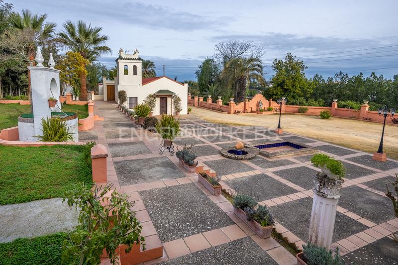 Foto f2f133d3-8741-499e-9d42-ff98d269a699. Mas avec chauffage piscine dans Olivares