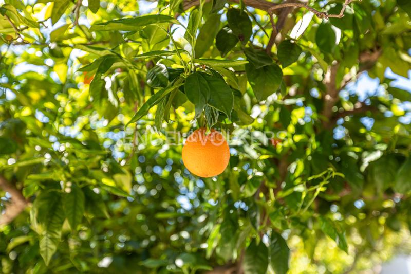 Foto b95f792d-2396-4385-93f8-f8d641a7f7dd. Casa amb calefacció a La Paz Alcalá de Guadaira