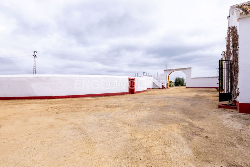 Foto 0598f0c6-8e01-4e67-b668-37727842702e. Casa amb calefacció piscina a Puebla de Cazalla (La)
