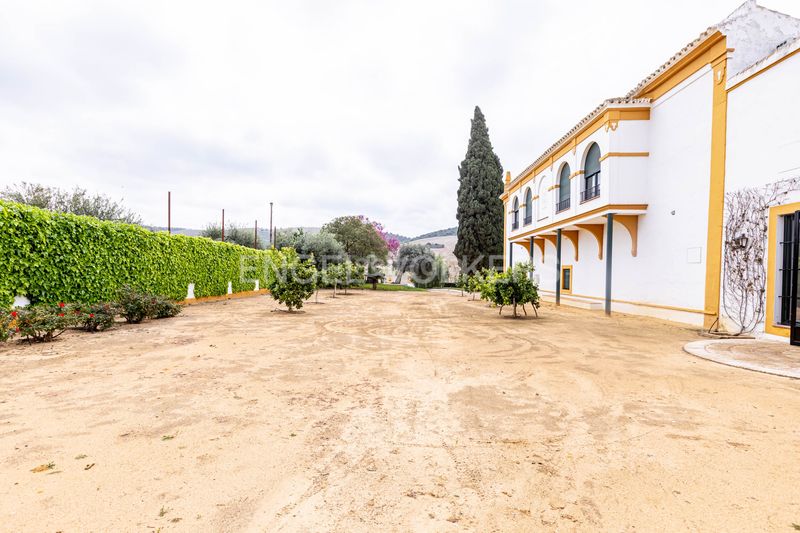Foto 0c90c4ef-3f35-44f0-bd7f-8c93408a6d4e. Casa amb calefacció piscina a Puebla de Cazalla (La)