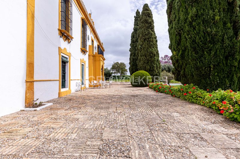 Foto 4e4b57c8-9cc3-4edd-9bff-963759400b9a. Casa amb calefacció piscina a Puebla de Cazalla (La)