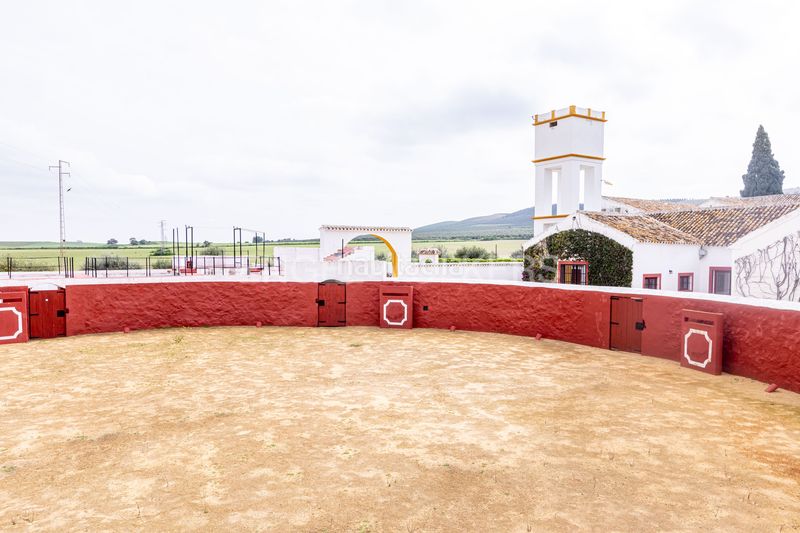 Foto 50685d43-36b5-4207-b9ed-025962b73e19. Casa amb calefacció piscina a Puebla de Cazalla (La)