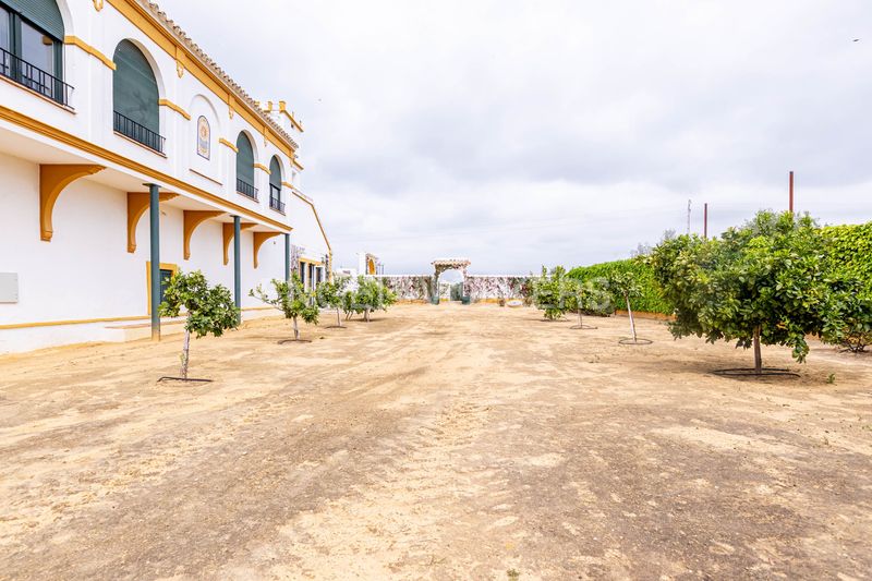 Foto 581e7d83-6886-4e63-a1e5-2a6e4fc9a5c2. Casa amb calefacció piscina a Puebla de Cazalla (La)