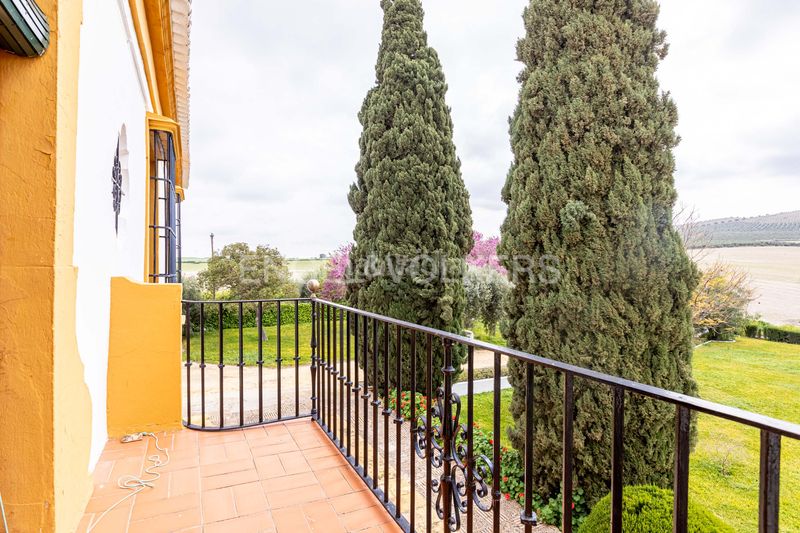 Foto 7b85881d-1edb-4f3d-ab2c-87da28cb6c06. Casa amb calefacció piscina a Puebla de Cazalla (La)