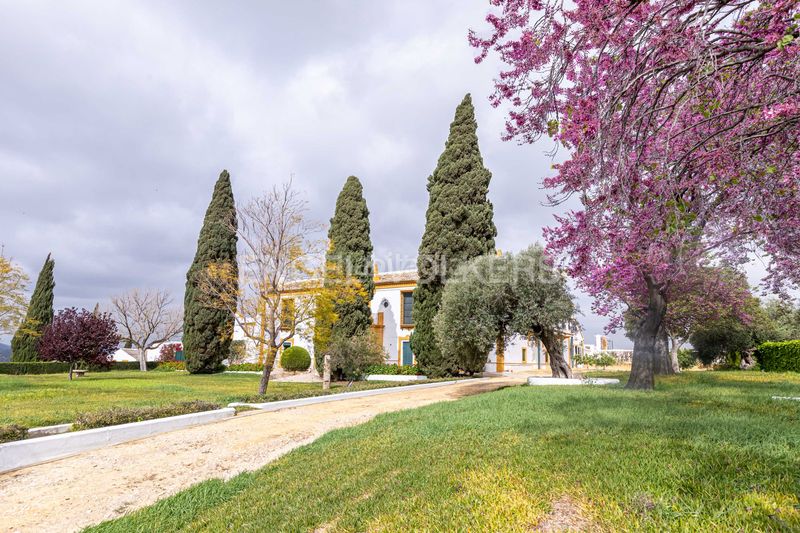 Foto 859ef4f9-28fd-4aa0-bc05-50a1d20e17a8. Casa amb calefacció piscina a Puebla de Cazalla (La)