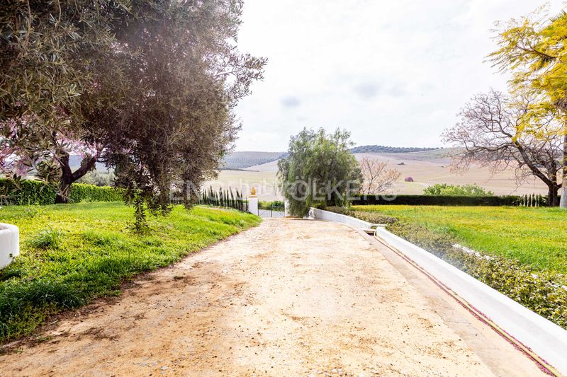 Foto 96955f41-aa30-418c-926d-ccf3476e2f1a. Casa amb calefacció piscina a Puebla de Cazalla (La)