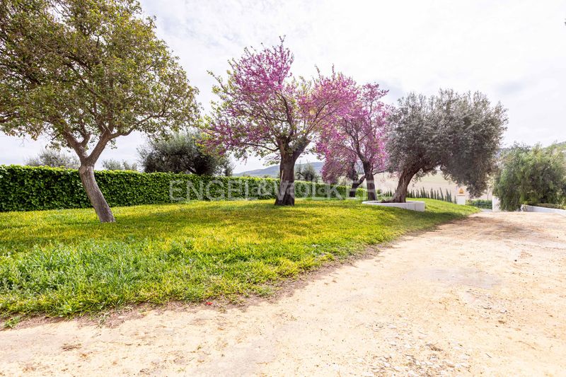 Foto b4a673dc-c248-46cb-b313-0ac6c41d4378. Casa amb calefacció piscina a Puebla de Cazalla (La)