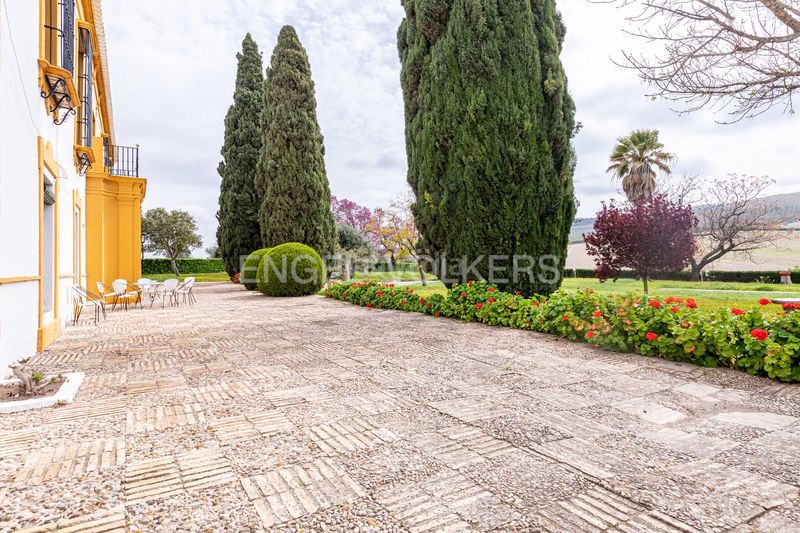 Foto bc3e3b02-4cb1-40ec-b90b-366bb1b696dd. Casa amb calefacció piscina a Puebla de Cazalla (La)