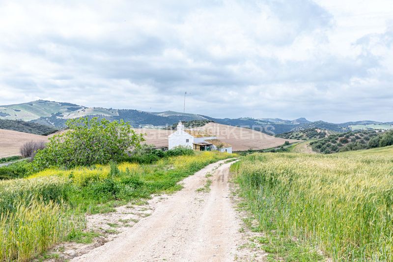 Foto bcd134e8-9a07-4e87-ad6c-c7195e37e597. Casa amb calefacció piscina a Puebla de Cazalla (La)