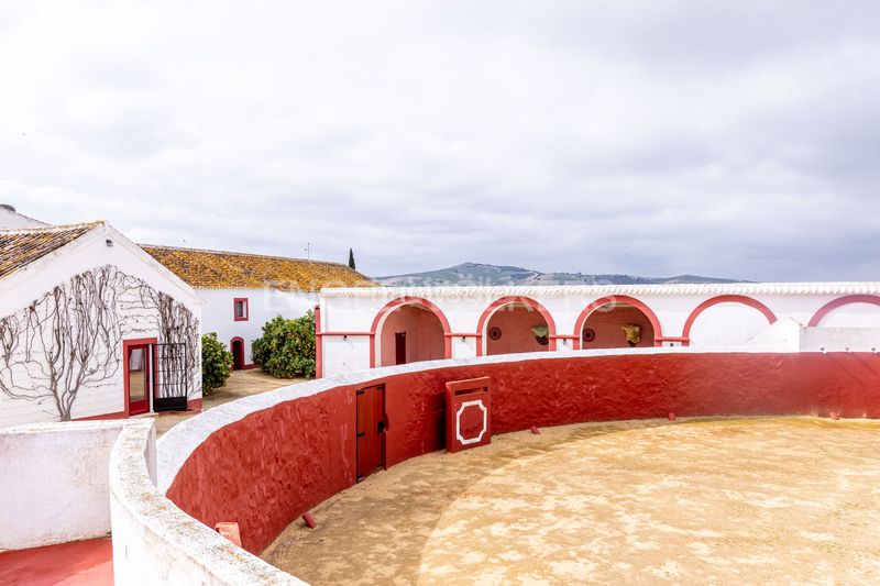 Foto c9defe8b-110f-4468-bff8-06e1aad8c88d. Casa amb calefacció piscina a Puebla de Cazalla (La)