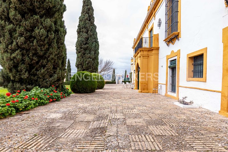 Foto d8c3c973-5e4b-4007-8ef0-8c39209a541f. Casa amb calefacció piscina a Puebla de Cazalla (La)
