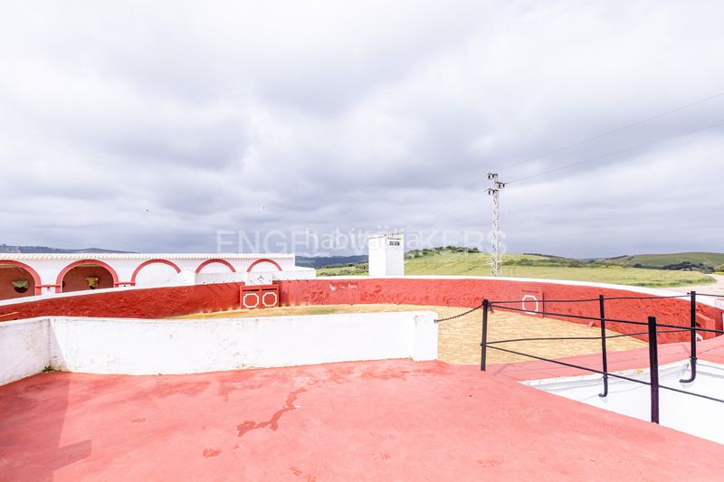 Foto e43687af-7f4f-4d34-b9d9-8bfe880d0679. Casa amb calefacció piscina a Puebla de Cazalla (La)