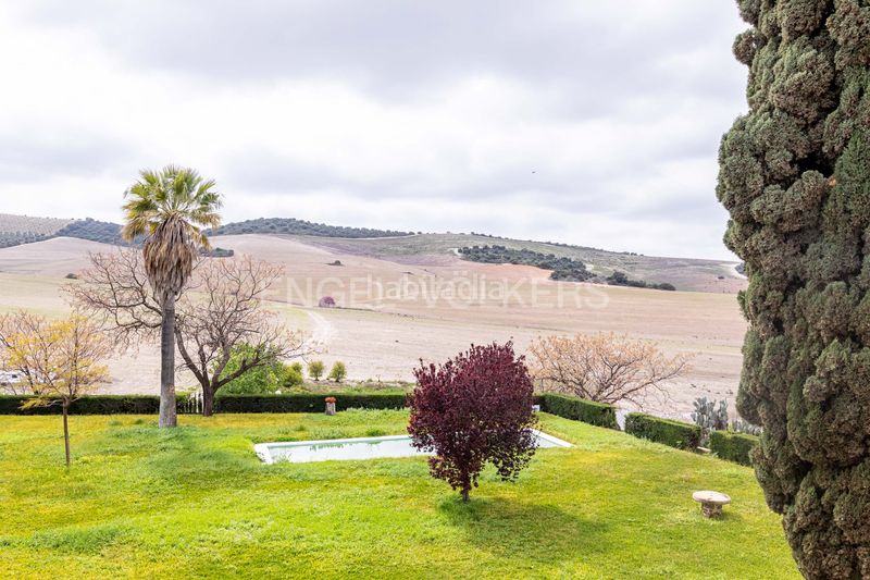 Foto e9692896-e60a-4504-8ac2-65de76457238. Casa amb calefacció piscina a Puebla de Cazalla (La)