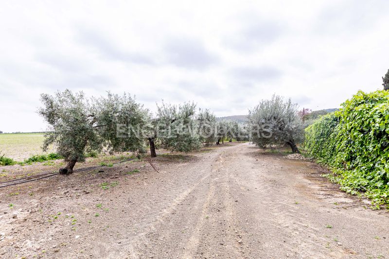Foto fb4da1e2-2f51-4510-963f-68bf2de685d5. Casa amb calefacció piscina a Puebla de Cazalla (La)