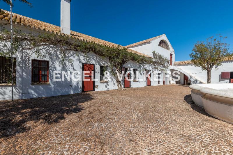 Foto 5f4d080e-8225-4790-b189-1e4086d932c2. Casa amb calefacció aparcament piscina a Carmona