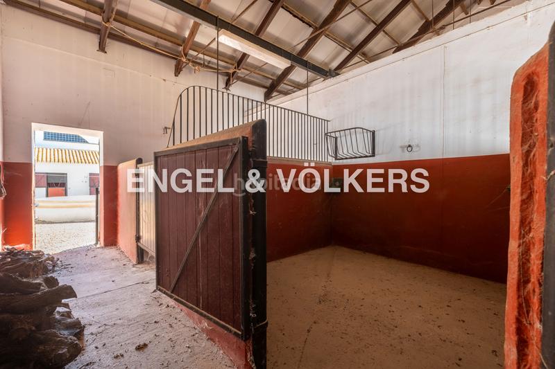 Foto 9c11eb67-d2f8-4739-84b1-7b46c8a97c28. Casa amb calefacció aparcament piscina a Carmona