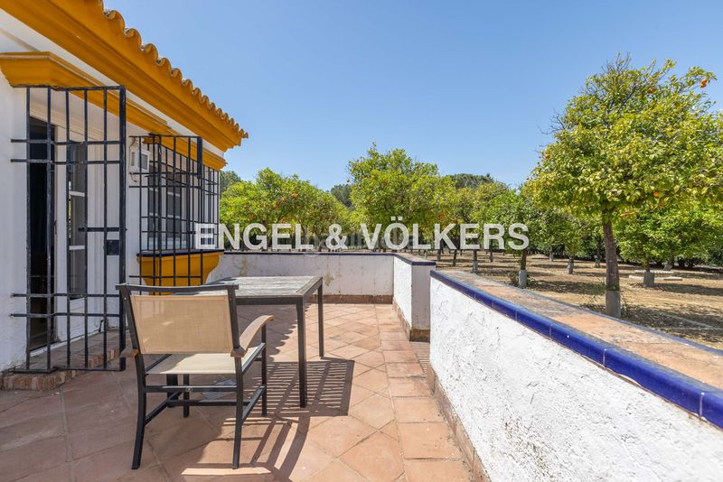 Foto 6b5d4825-0889-4b7e-81f1-9100edd0d213. Terreny residencial a Pedanías Sur Utrera