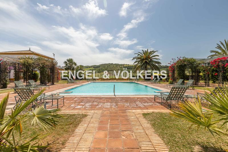 Foto 068f7bb6-b784-4437-95c7-e9bb2365e36f. Terreny residencial a Pedanías Sur Utrera