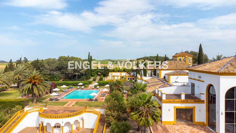 Foto 2c4c2b3a-53a9-42bd-9fd3-06bb8a8ef762. Terreny residencial a Pedanías Sur Utrera