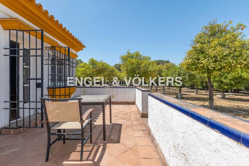 Foto 6b5d4825-0889-4b7e-81f1-9100edd0d213. Terreny residencial a Pedanías Sur Utrera