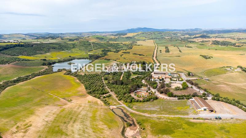 Foto 6f020934-ca28-4dcd-a08e-abda0259d494. Terreny residencial a Pedanías Sur Utrera