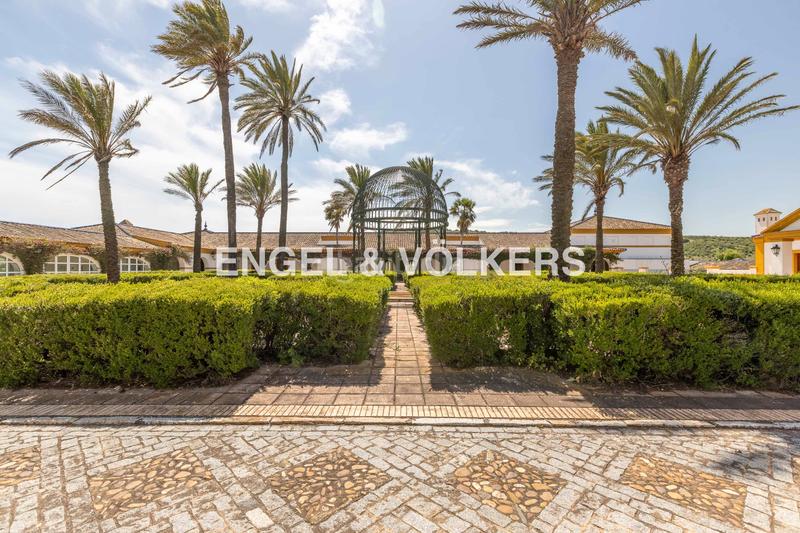 Foto 727f70b9-3d26-4720-bc2c-570ec34a1ec3. Terreny residencial a Pedanías Sur Utrera